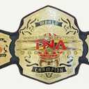 TNA World Wrestling Championship Belt Adult Gold Plated