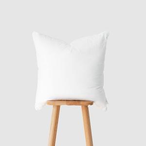 Hofdeco Premium Throw Pillow Insert, 22"x22" (for Cover Size 20"x20") Water Resistant Synthetic Down Alternative Sham Stuffer for Patio, Bench, Garden, White