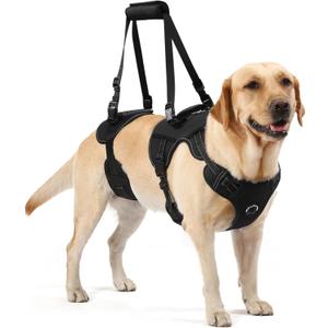 NOYAL Dog Lift Harness for Senior & Injured Pets  Full-Body Support Sling with Breathable Mesh, Front/Rear Leg Assist for Arthritis, Hip Dysplasia & Post-Surgery Recovery (Medium-Large Breeds) (Large, Black-1)