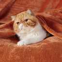 Bedsure GentleSoft Twin XL Fleece Blanket Dorm Bedding - Lightweight Soft Cozy Blankets for Bed, Sofa, Couch, Travel, Camping, Dark Orange, 66"x90"