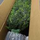 Yangrass 2Pack Artificial Topiary Cedar Trees, 4FT Artificial Cedar Pine Tree Potted UV Rated Plant Fake Plants Tall Artificial Plants Shrubs for Indoors Outdoors