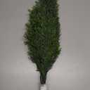 3FT Artificial Cedar Topiary Trees Potted Fake Plants for Outdoors Faux Cypress Trees for Home Front Porch Decor Set of 2