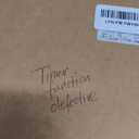 Fudios Lighted Iced Garland with Timer 48 LED Fairy Lights 6ft Battery or USB Plug for Mantle Decor, Lit Christmas Brown Twig Garland Winter Home Holiday Indoor Use