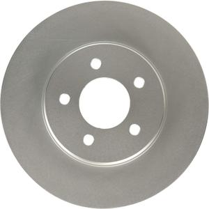 Raybestos 980290FZN Rust Prevention Technology Coated Rotor Brake Rotor, 1 Pack