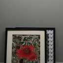 14x14 Picture Frame Black 2 Pack Solid Wood for Mat 10x10 Wall Mounting Square Poster Photo Frames