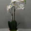 Faux White Orchid Plant, Premium Artificial Indoor Flower Display Stands 24, Beautiful Sculptural Blooms That Lasts Forever, Grey Planter Pot Included (24" White 2-Stem Orchid)