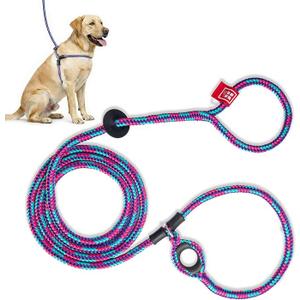 Harness Lead No Pull Dog Harness and Leash Set, Anti Pull Dog Harness for All Breeds and Sizes, One-Piece Cushioned Rope Design Safely Prevents Escaping and Pulling (Small/Medium, Pink)