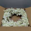 Spring Wreath for Front Door, 24 Inch White Cream Forsythia Spring Wreath Blossom Cluster Flower Farmhouse on Grapevine for Front Door Wall Window Hanging Dcor Festival Celebration