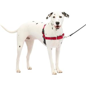 PetSafe Easy Walk Harness for Dogs - Pull-Free Walks - Patented Martingale Loop Design - Front Chest Leash Attachment - Comfort Straps - Breathable Harness Design - Medium/Large, Red/Black