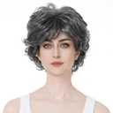 Aimole Short Curly Synthetic Wigs Full Capless Hair Women's Thick Wig for Everyday Grey Hair Wigs