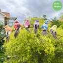 LWINGFLYER 12pcs Clip on Artificial Birds Small Feather Birds Ornament for Spring Tree Decoration Wreaths Crafts Floral Arrangements (Model - Y18)