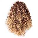 14 Inch Curly Drawstring Ponytail Extension Synthetic Hair for Black Women, Clip In Ponytail Hair Piece Natural Looking Soft Full Curly Puff Ponytail for Daily Wear Party Wedding(T33/27)