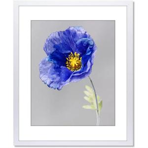 VNVNK 20x24 Frame White, Perfect for 20x24 Inch Picture without Mat or 16x20 Inch Picture with Mat, Home Wall Decor Picture Frame-1 PCS
