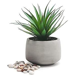 Kurrajong Farmhouse Artificial Plant Indoor | 7" high Fake Plant | Artificial Succulent in Pot | Fake Succulent | Faux Plant in Pot for Desk Decor