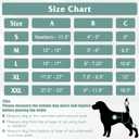 Dog Diapers Female 5pcs,Reusable Dog Doggie Puppy Doggy Diapers Female, Period Panties in Heat, Black, XLarge