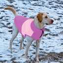 Queenmore Fleece Dog Sweater, Soft Dog Fleece Sweater, Pet Vest Winter Jacket Coat Sweatshirt for Male or Female Cats Puppy Small Medium Large Extra Large Breed, XXX-Large(Chest 31.5") Pink/Purple