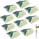 Tessco for you 270 Pcs Floral Water Tube 6 Inch Floral Tubes Plastic Flower Supplies for Fresh Flowers with Rubber Cap for Flower Stem Arrangements Florist Supplies