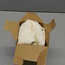 Biscaynebay Wrap Around Bed Skirts for Queen Beds 22" Long Drop, Ivory Adjustable Elastic Dust Ruffles Easy Fit Wrinkle Resistant Silky Luxurious Fabric Machine Washable