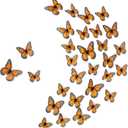 Chuangdi Monarch Butterfly Decoration 3 Size Fake Butterflies Realistic Butterfly Crafts Artificial Wall Decor for Craft Home Wedding Classroom Birthday Party Decorations(Orange,48 Pack)