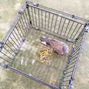 Bird Trap Cage Pigeon Quail Chicken Outdoor Trapping Live Small Bird Trap, 23.6"L*15.7"W*10"H