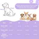 Lukovee No Pull Puppy Harness and Leash Set - Soft Lightweight Escape Proof Puppy Vest Harness, Breathable Adjustable Pet Harness with Dog Leash for Small Dogs (Purple, XXS)