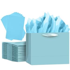 qiqee 5PCS Lake Blue Gift Bags with Ribbon Handles 9.6"x7.9"x4.3" Medium Size Gift Bags (Tissue Paper included, Medium Wide)