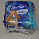 Charmin Flushable Wipes, 160 Total Wipes (4 Packs of 40)