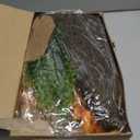 Tfwadmx 15Pcs Bearded Dragon Tank Accessories, Reptile Plants, Reptile Hammock, Lizard Habitat Decor with Terrarium Plants Hygrometer for Geckos Snakes Chameleons (Type2)