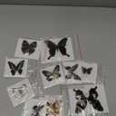 11Pcs Natural Unmounted Rhopalocera/Le Papillon/Butterfly Specimen Artwork Material Decor, Taxidermy Animals for Kids Family