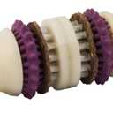 PetSafe Busy Buddy Bristle Bone - Chew Toy for Dental Health Support - Durable Dog Plaything for Tough Chewers - Includes 4 Refillable Treat Rings - Safe Chew Toy for Large Dogs (50-90 lbs) (Large (Pack of 1))