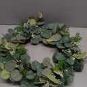 24 Inch Eucalyptus Summer Wreath for Front Door, Summer Spring Wreath for Grapevine Farmhouse with Silk Printing Dollar Leaves Wreaths for Festival Celebration Front Door Wall Window Home Dcor (Green)