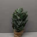 LinTimes 24 Inch Table Top Small Christmas Tree with 50 LED Lights, Prelit Mini Christmas Tree Frosted Pine Tree with Red Berries for Home Table Centerpiece Dining Room Office Desk Decorations (Green)