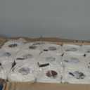 Tork HB1990A Perforated Paper Roll Towel, 2-Ply, 11" Width x 9" Length, White (Case of 30 Rolls, 84 per Roll, 2,520 Towels)