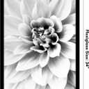 Americanflat 24x34 Poster Frame with Polished Plexiglass - Black Picture Frame - Wide Photo Frames Made of Engineered Wood for Vertical or Horizontal Wall Display - Epic Collection - Black