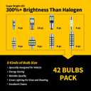 EBAIFUN 42-Pack White 12V DE3175 6418 6411 T10 2825 BA9S 64111 T5 74 6612F 6615F 31mm 36mm 41mm LED bulb Kit for Car Truck Interior Map Dome Vanity Mirror Trunk Door Courtesy License Plate Light