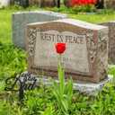 Tinideya Dad Memorial Stakes Grave Cemetery Decorations Metal Grave Markers Plaque Sympathy Garden Stake Waterproof Cemetery Memorial Signs for Funeral Decorations