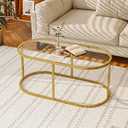 Coffee Table Gold Glass Coffee Tables for Living Room, Oval Table Center Table with Sturdy Metal Frame,Modern Tempered Glass Accent Tables for Bedroom Home Office, 1-Tier