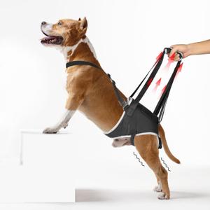 Dog Hip Support Brace - for Surgery Rehabilitation and Mobility Aid, Rear Leg Lift Harness for Dogs, Comes with Chest Stabilizing Straps, Upgraded Adjustable Elastic and Buckles, M (Black)