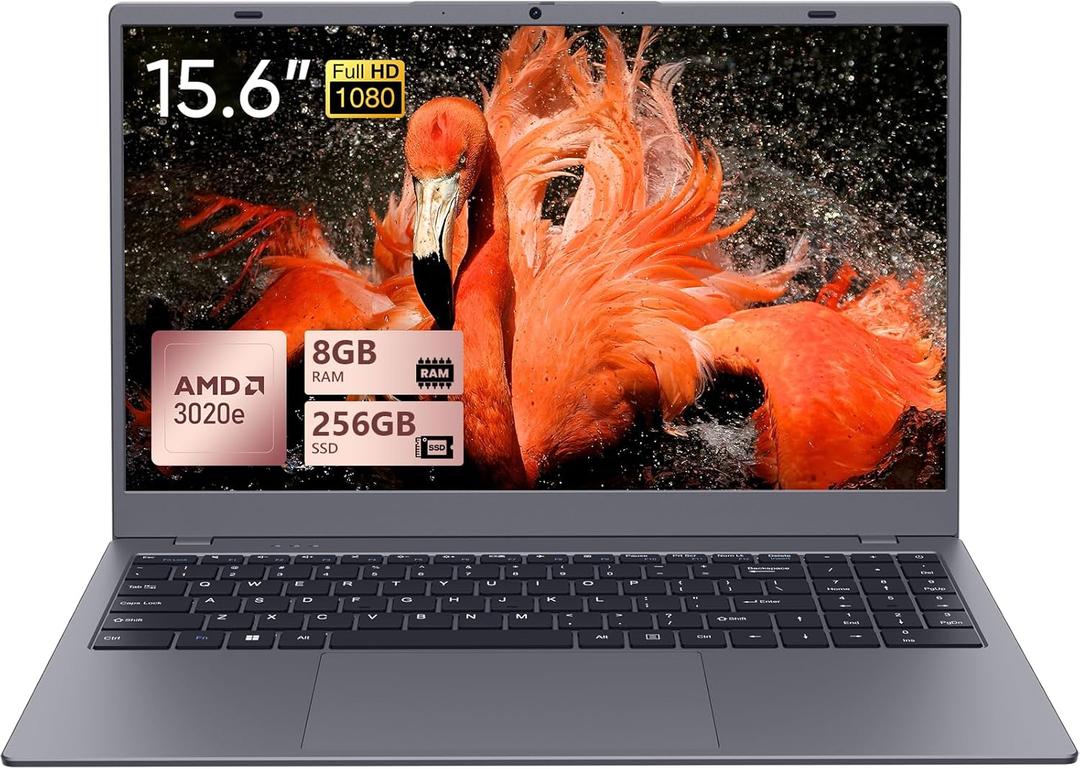 15.6 IPS-FHD-Laptop, 8GB RAM 256GB SSD AMD 3020e (up to 2.6GHz), Full Function Type C Computer for Student-Home WiFi 5 BT5.0