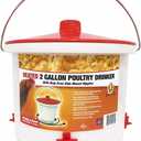 Farm Innovators Heated Chicken Waterer, Poultry Drinker Bucket, 2 Gallon