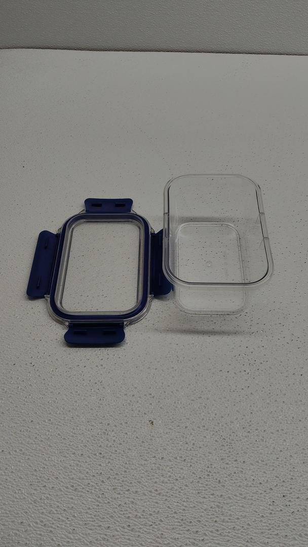 Food Storage Container Blue 8"x6"x4"