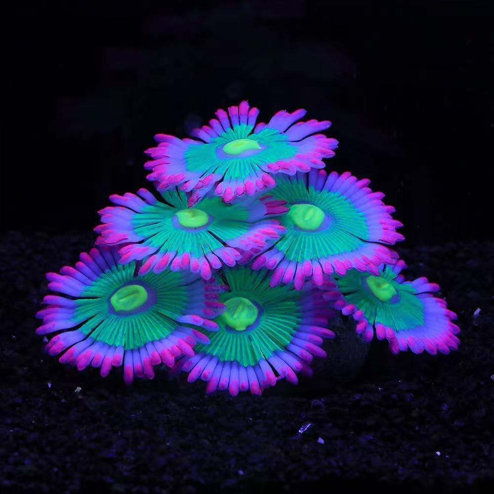 Glowing Effect Soft Anemone Aquarium Fish Tank Decorations Silicone Glow in The Dark Artificial Ornament Plants for Aquarium Landscape Small/Large Fish Bowl Decor Accessories (Pink)