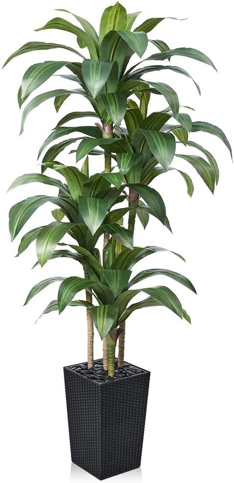 VeriNatural 6FT Artificial Dracaena Tree - UV Resistant Faux Tropical Plant, Potted Fake Tree with Taper Planter & Pebbles - Indoor Outdoor Greenery for Home, Porch, Living Room, Bedroom Decor, VN127 (Black)