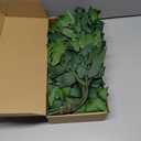 mizii 36pcs Italian Ruscus Artificial Greenery Stems Silk Green Leaves 20in Fake Spray Plants Stem Garland Greenery Decoration for Centerpieces Wedding Arch Flower Bouquet Table Room Wall Decor (36)