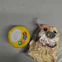 Baby Toys 6-12 Months, Inflatable Puppy Musical with Lights, ABCs, Animal Sounds, Numbers, Infant Early Learning Toy, Christmas Birthday Gifts for 6+ Month Boys & Girls