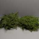 6 Pcs Christmas Pine Placemats 20 Inch Artificial Greenery Placemats Round Cedar Branch Place Mat Dining Table Mats for Xmas Party Decorations Holiday