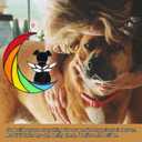 Stained Glass Rainbow Bridge Dog Memorial Gifts for Loss of Dog Sympathy Remembrance Suncatcher, Angel Wings Pet Loss Bereavement Gifts in Memory of Pet Passing Away Window Hanging.