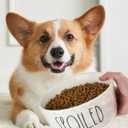 27OZ Ceramic Dog Bowl - 6 Inch Small Food Water Bowl, Heavy Duty Non-Slip Dog Dish for Medium Dogs, Food Grade Porcelain Pet Feeder Bowls, Microwave & Dishwasher Safe, White