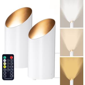 Brightown LED SpotLights - 2 Pack Uplighting Floor Can Lights with Remote and Timer, 3 Color Temperatures & Dimmable, 2 Lighting Modes for Wall Picture Painting Plants Indoor Accent Lighting, White