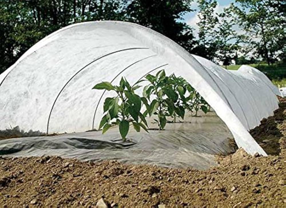 WHITE CROP COVER (M)